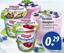 Nah & Frisch Ehrmann Almighurt Angebot