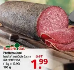 Multi Markt Bauern Gut Pfeffersalami Angebot
