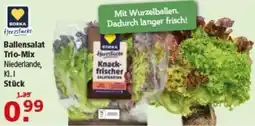 Multi Markt EDEKA Herzstucke Ballensalat Trio-Mix Angebot
