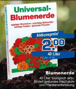 Bauzentrum Hofacker Universal- Blumenerde Angebot