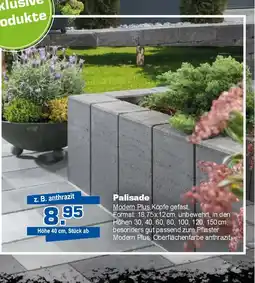 Bauzentrum Hofacker Palisade Modern Plus Angebot