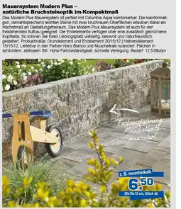 Bauzentrum Hofacker Mauersystem Modern Plus - Angebot