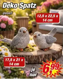 Posten Börse Deko Spatz Angebot