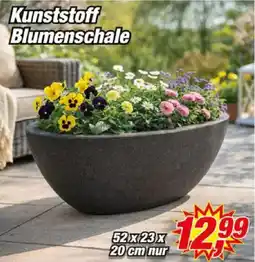 Posten Börse Kunststoff Blumenschale Angebot