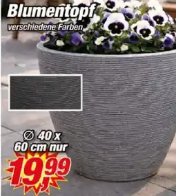 Posten Börse Blumentopf Angebot