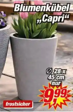 Posten Börse Blumenkübel Capri" Angebot