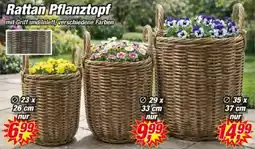 Posten Börse Rattan Pflanztopf Angebot