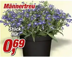 Posten Börse Männertreu Angebot