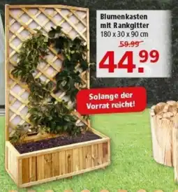 Multi Markt Blumenkasten mit Rankgitter Angebot
