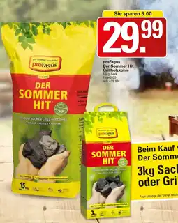 WEZ proFagus Der Sommer Hit Grillholzkohle Angebot