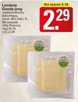 WEZ Landana Gouda jung Angebot