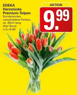 WEZ EDEKA Herzstücke Premium-Tulpen Angebot
