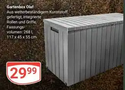 Globus Gartenbox Olaf Angebot