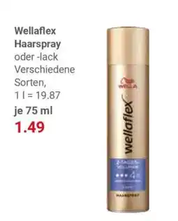 Globus Wellaflex Haarspray Angebot