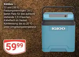 Globus Kühlbox Angebot