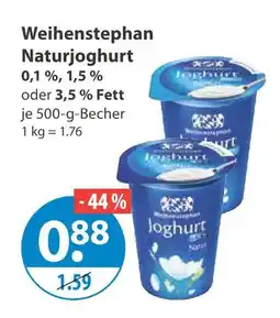 V Markt Weihenstephan naturjoghurt Angebot