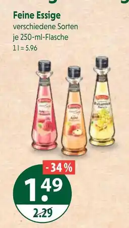 V Markt Feine essige Angebot