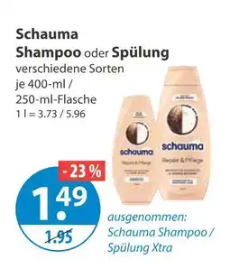 V Markt Schauma shampoo oder spülung Angebot