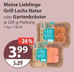 V Markt Grill lachs natur oder gartenkräuter Angebot
