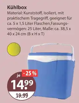 V Markt Kühlbox Angebot