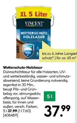 BayWa Bau & Garten VINCENT Wetterschutz-Holzlasur Angebot