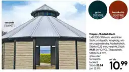 BayWa Bau & Garten Trapez-/Abdeckblech Angebot