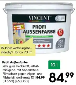 BayWa Bau & Garten VINCENT Profi Außenfarbe Angebot