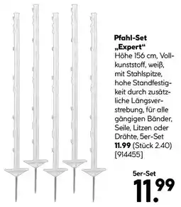 BayWa Bau & Garten Pfahl-Set „Expert" Angebot