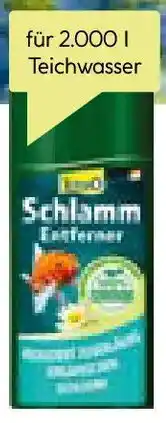BayWa Bau & Garten Tetra Schlammentferner Angebot