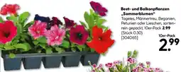 BayWa Bau & Garten Beet- und Balkonpflanzen ,,Sommerblumen" Angebot