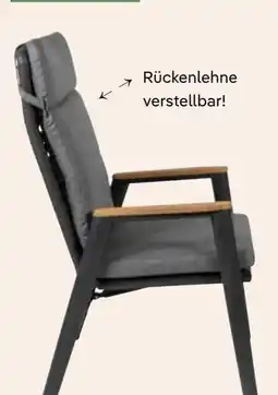 Pflanzen Kölle Kölle Alu-Hochlehnersessel Florence Angebot