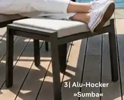 Pflanzen Kölle Kölle Alu-Hocker Sumba Angebot