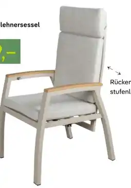 Pflanzen Kölle Kölle Alu-Hochlehnersessel Taunus Angebot