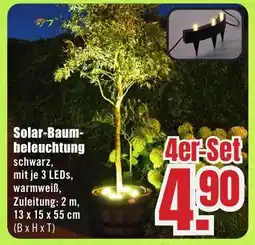 B1 Discount Baumarkt Solar-Baumbeleuchtung 4er Set Angebot