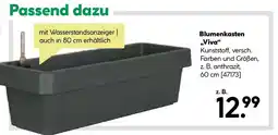 BayWa Bau & Garten Blumenkasten „Viva" Angebot