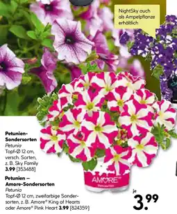 BayWa Bau & Garten Petunien Sondersorten Angebot