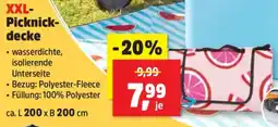 Thomas Philipps XXL-Picknickdecke Angebot