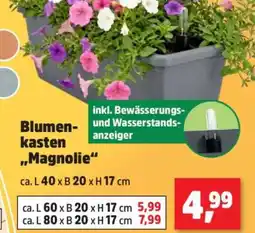 Thomas Philipps Blumenkasten „Magnolie“ Angebot