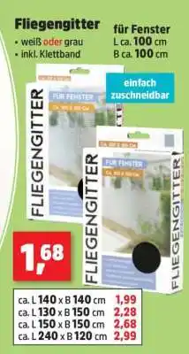 Thomas Philipps Fliegengitter Angebot