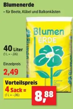 Thomas Philipps Blumenerde Angebot