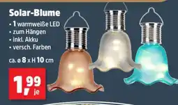 Thomas Philipps Solar-Blume Angebot
