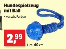 Thomas Philipps Hundespielzeug mit Ball Angebot