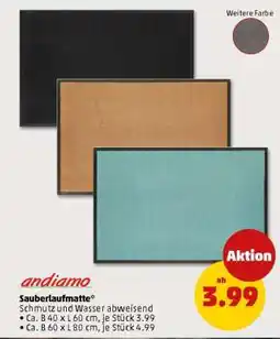 PENNY Sauberlaufmatte Angebot