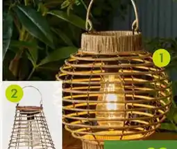 Pflanzen Kölle Solar-Laterne Angebot