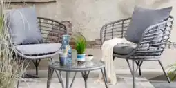 Pflanzen Kölle Bistrogruppe Evora Angebot