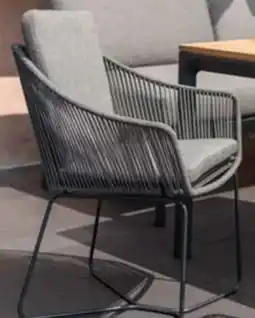 Pflanzen Kölle ScanCom Diningsessel Opal Angebot