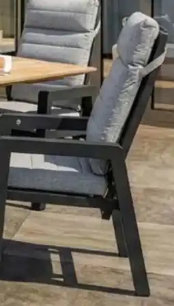 Pflanzen Kölle Kölle Alu-Hochlehnersessel Windsor Angebot