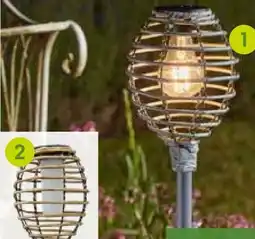 Pflanzen Kölle Solar-Gartenfackel Angebot