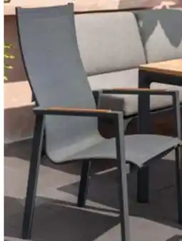 Pflanzen Kölle ScanCom Alu-Stapelsessel Palau Angebot