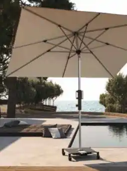 Pflanzen Kölle Knirps Kurbelschirm Phoenix Angebot